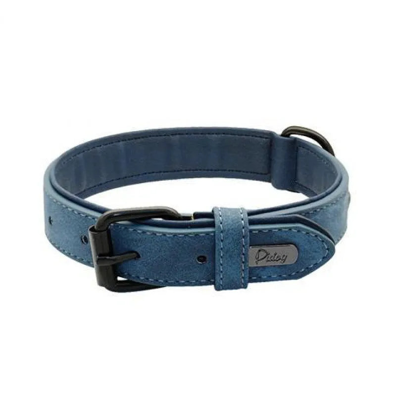 Adjustable dog collar with buckle fastening in purple colour showing double-layer construction