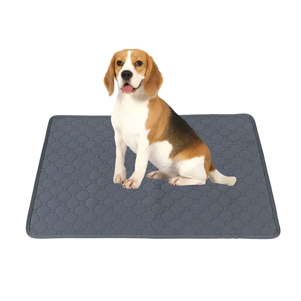 Washable dog pee pads in tan and grey colours showing multiple size options for pet protection