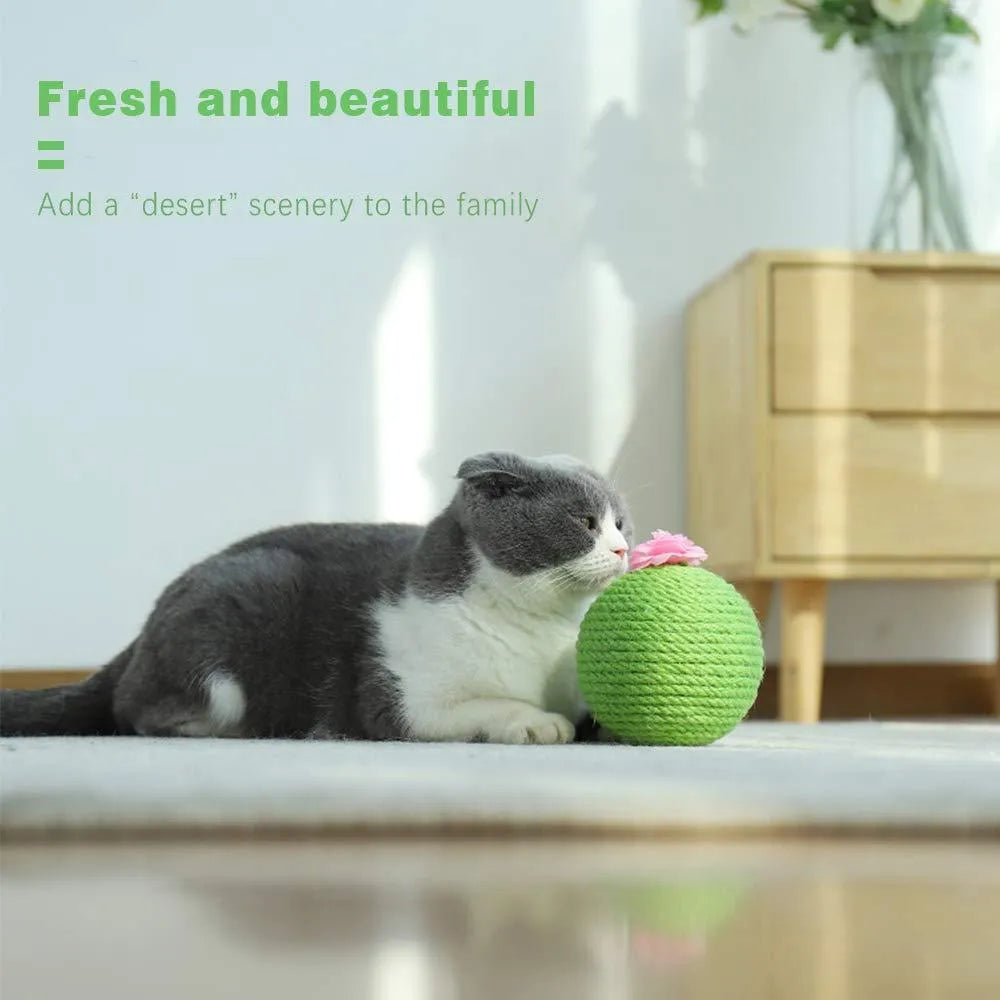 Green interactive cat scratcher ball with natural sisal cactus design and hanging accessories for indoor feline play