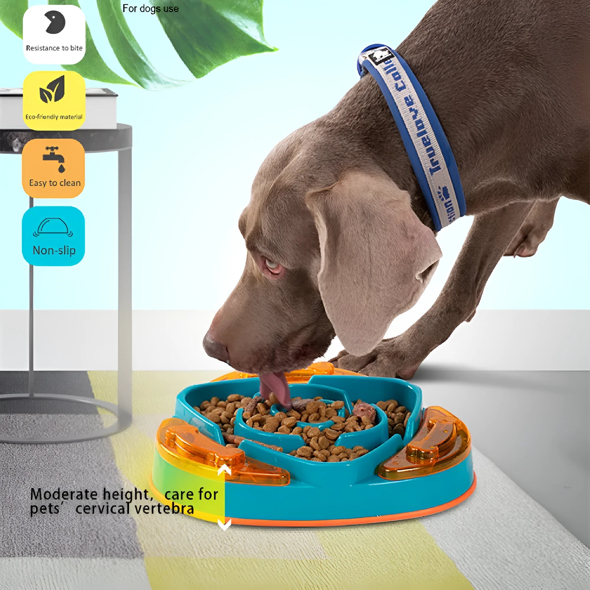 Green and orange pet slow food dispenser measuring 31cm x 30cm x 5.5cm made from PP material