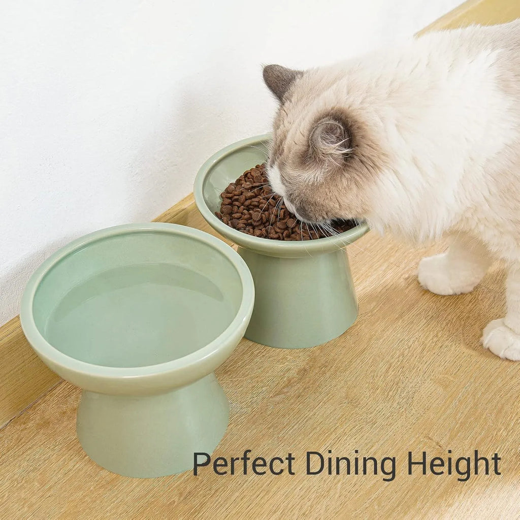 Ceramic elevated cat food and water bowl set in blue, showing wide shallow dish and raised base.