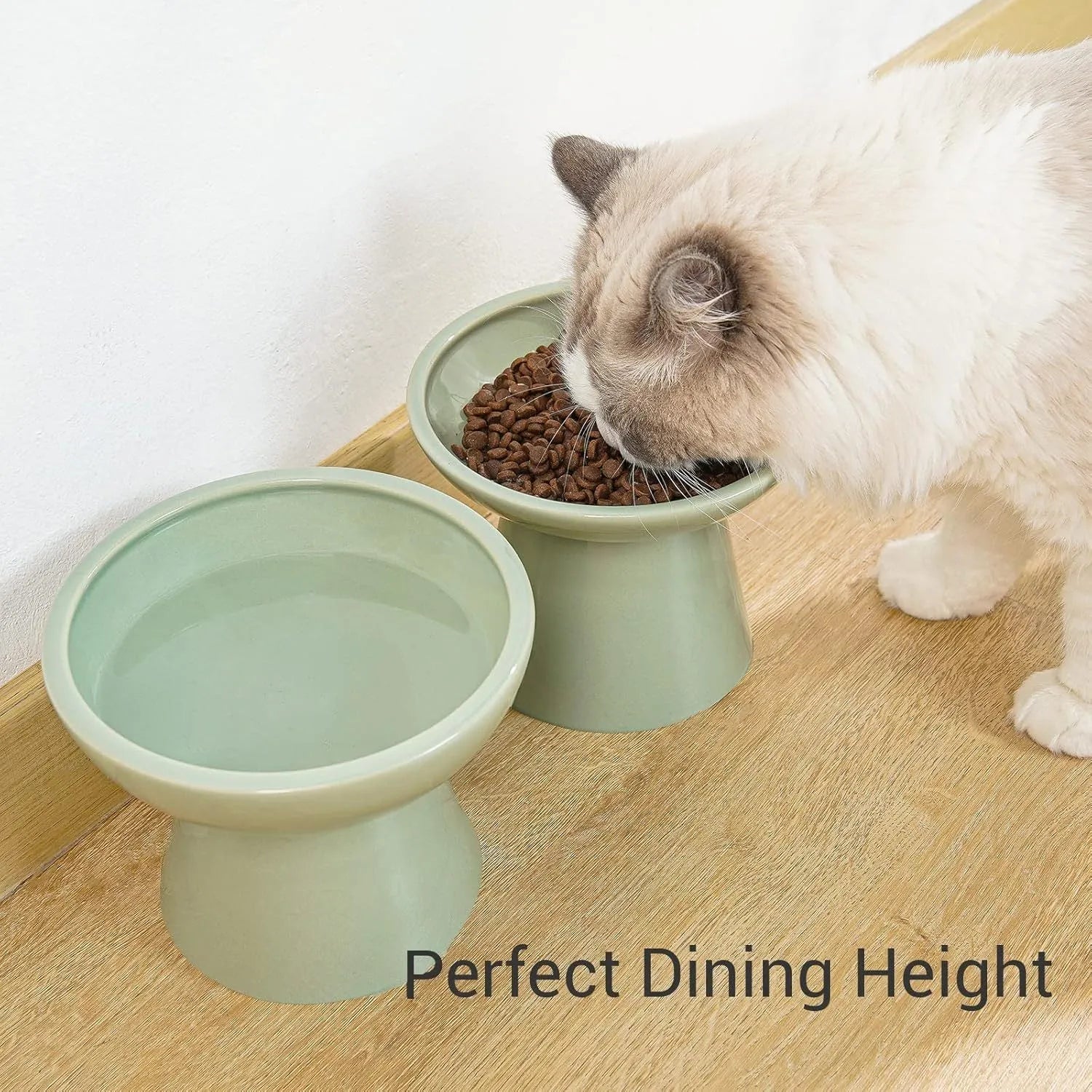 Ceramic elevated cat food and water bowl set in blue, showing wide shallow dish and raised base.