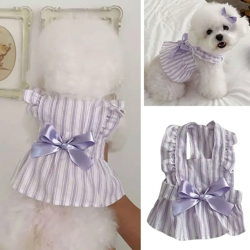 Purple dog dress with thin vest, bowknot and stripe skirt, sizes XS to XXL for small to large dogs