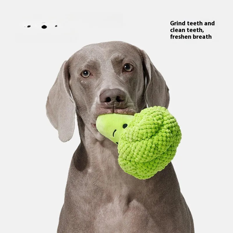 Green broccoli-shaped dog plush sound toy for molar teeth cleaning and interactive play