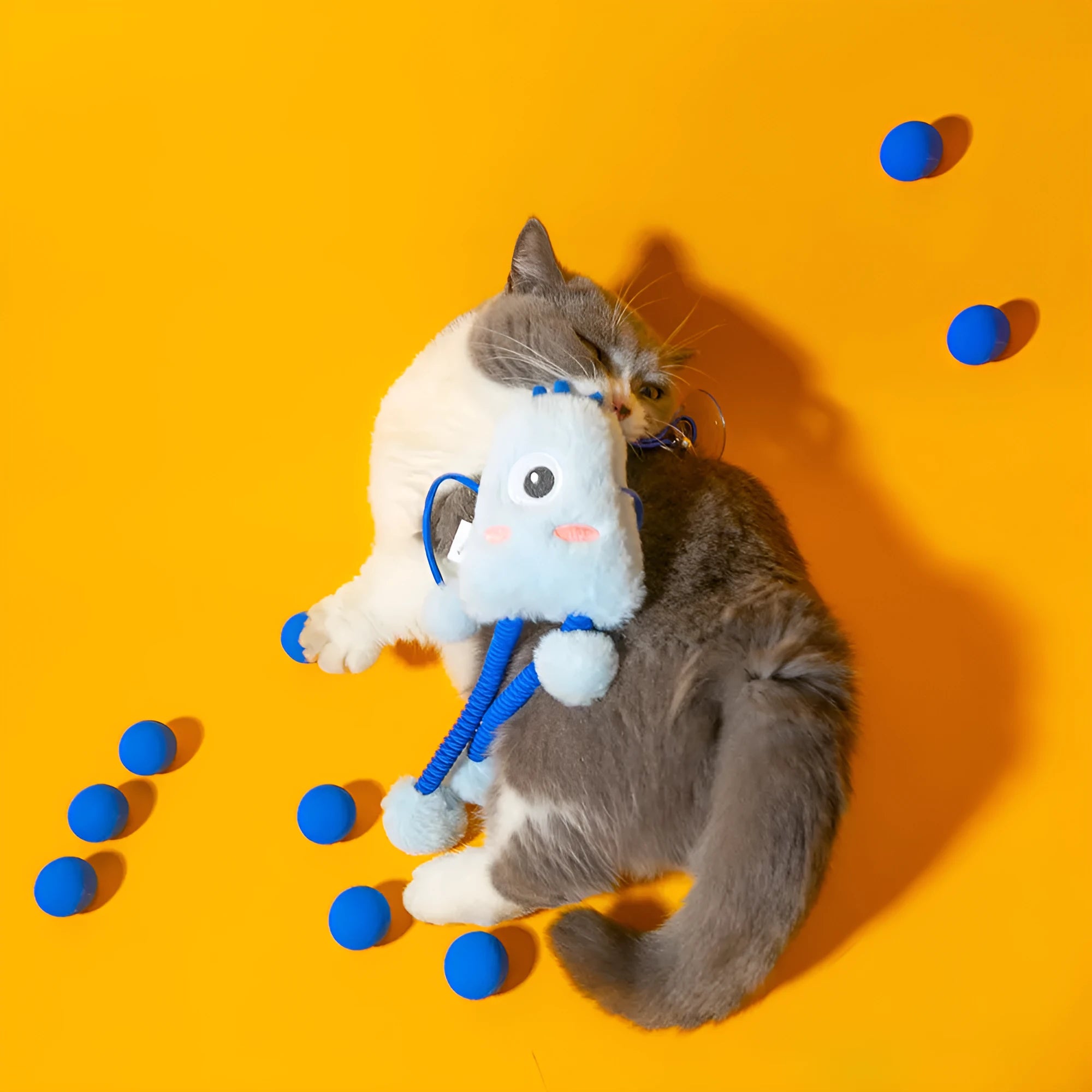 Blue cat toy with 30cm plush ring on elastic telescopic rope and mint bell attachment