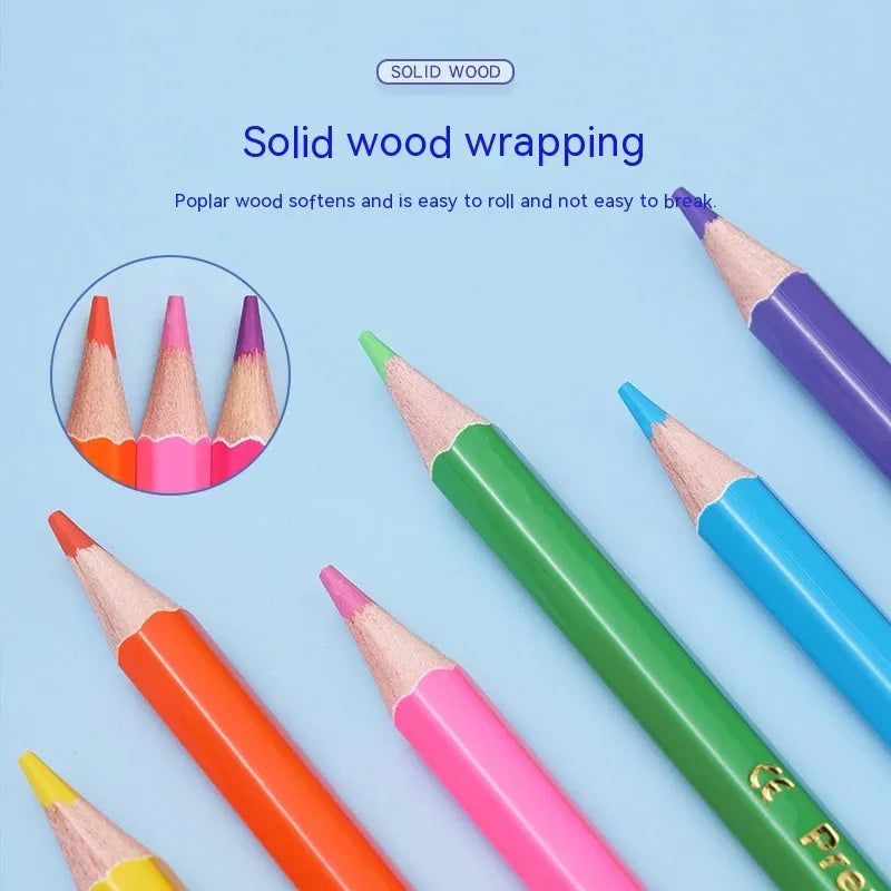 Wooden student colour pencil art set showing brush colour and double head options in 12 or 24 colour configurations