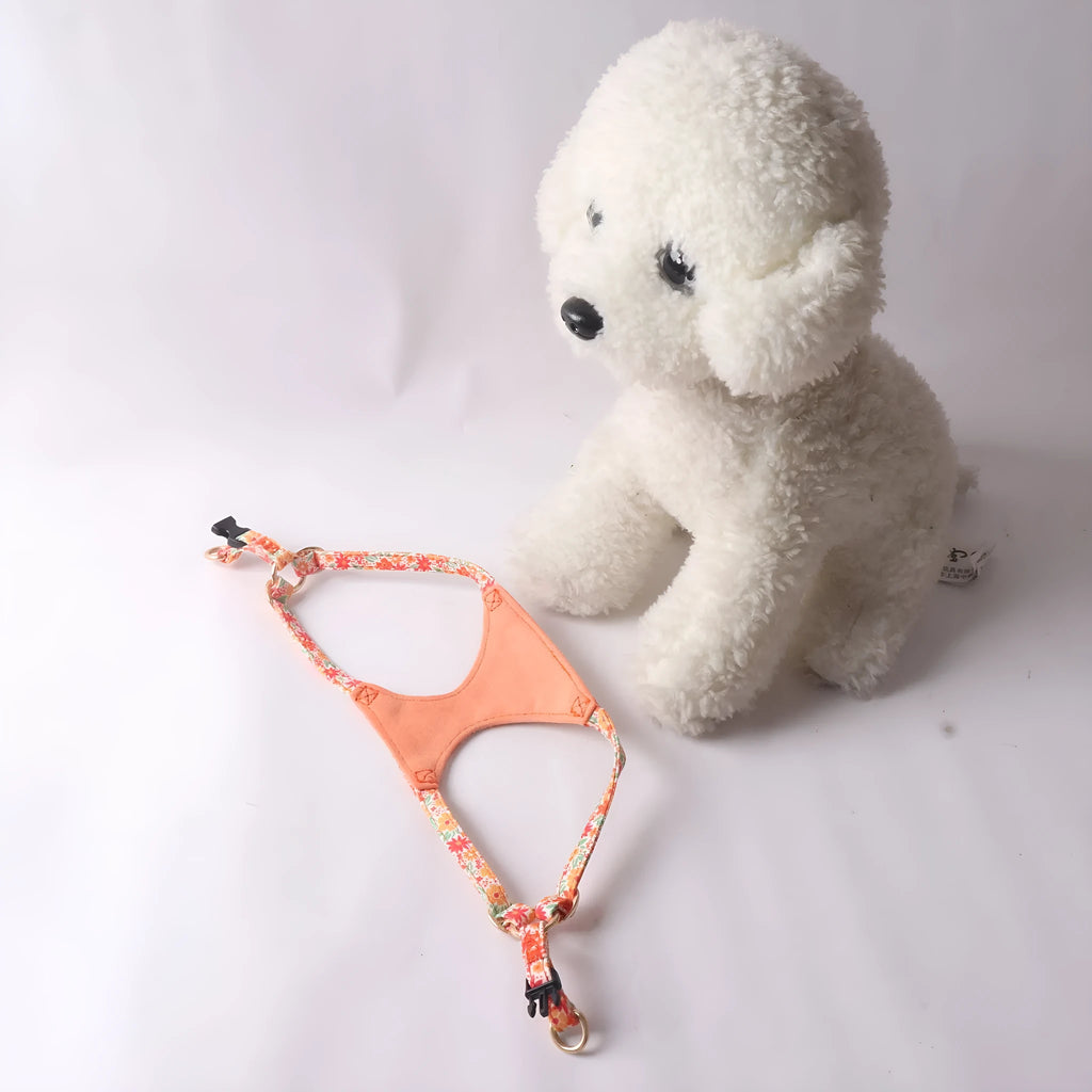 Floral pet harness suit with matching chest back piece and leash in multiple colour options