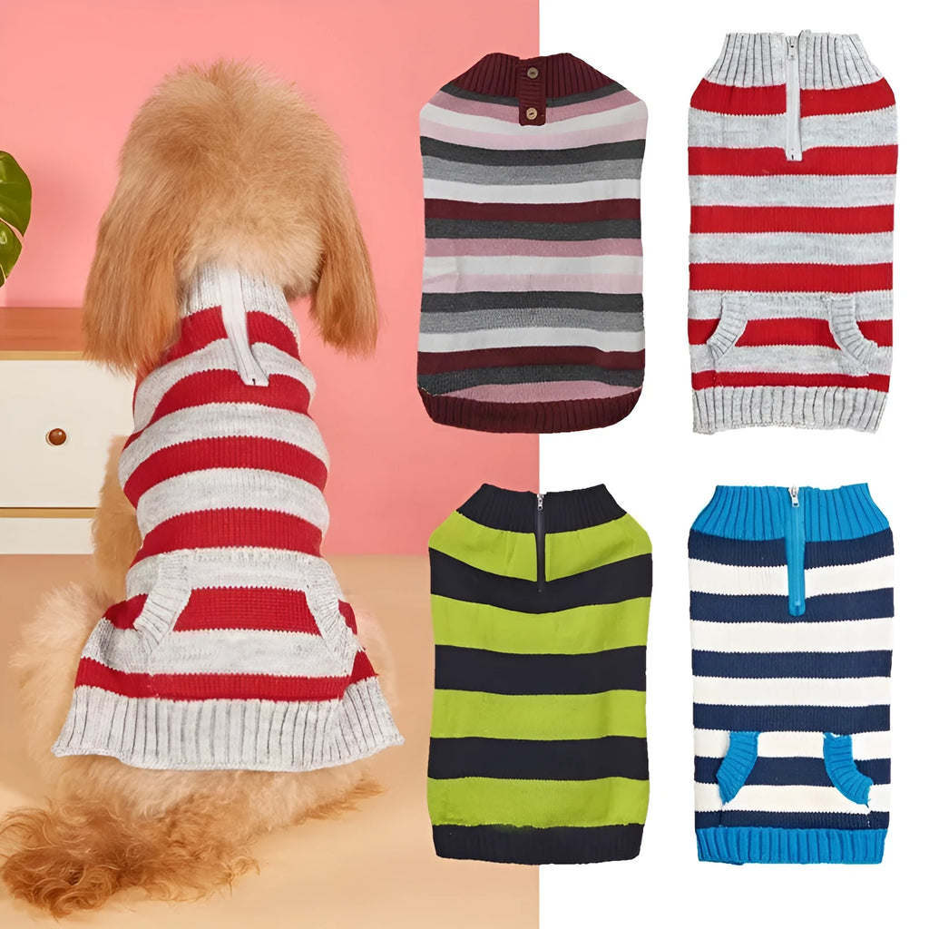 Blue dog jumper with a horizontal front zipper, a button pocket, and contrast trim on a small dog.