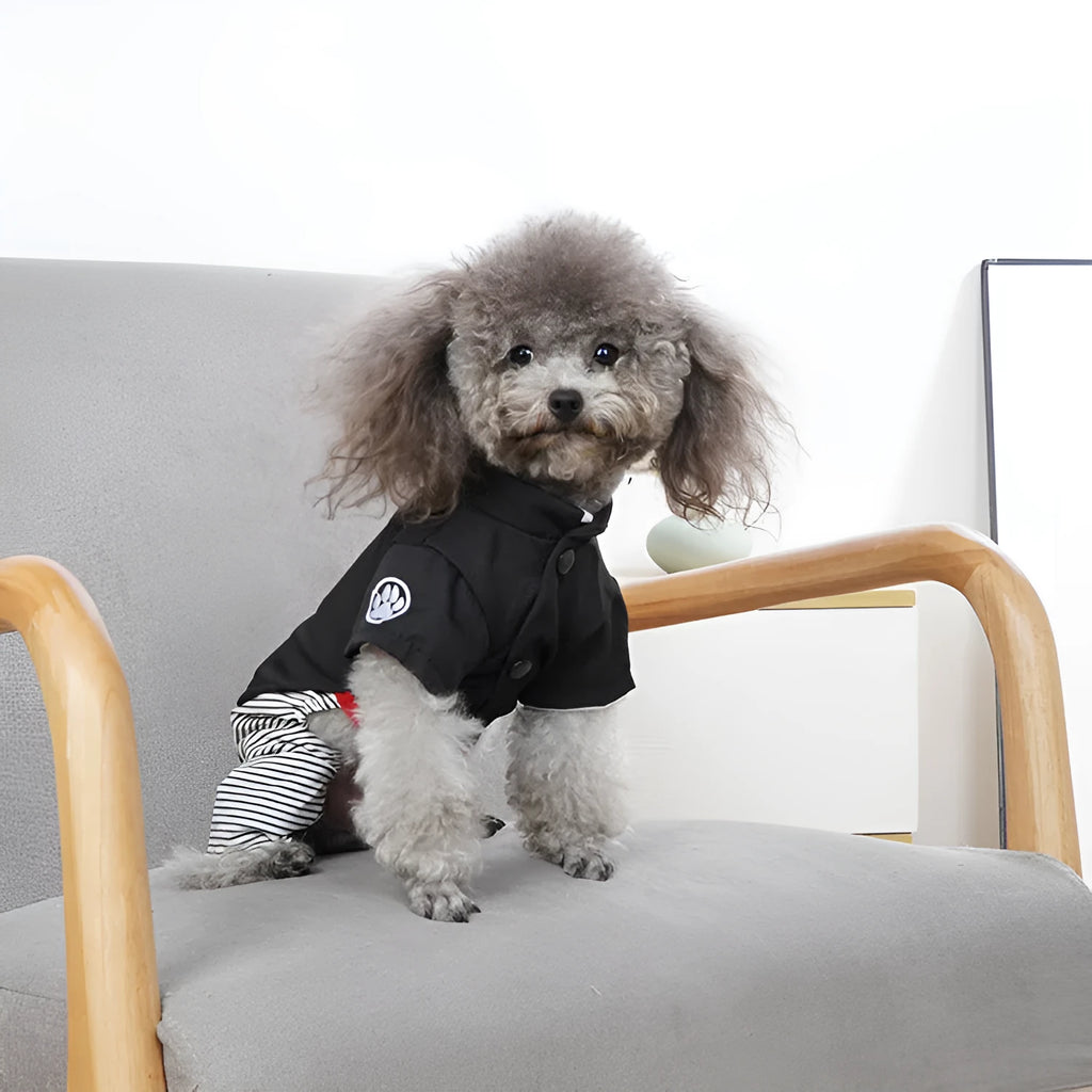 Thin cotton dog clothes for poodles in skirt and four-foot pants styles, shown in S, M, L, XL sizes.