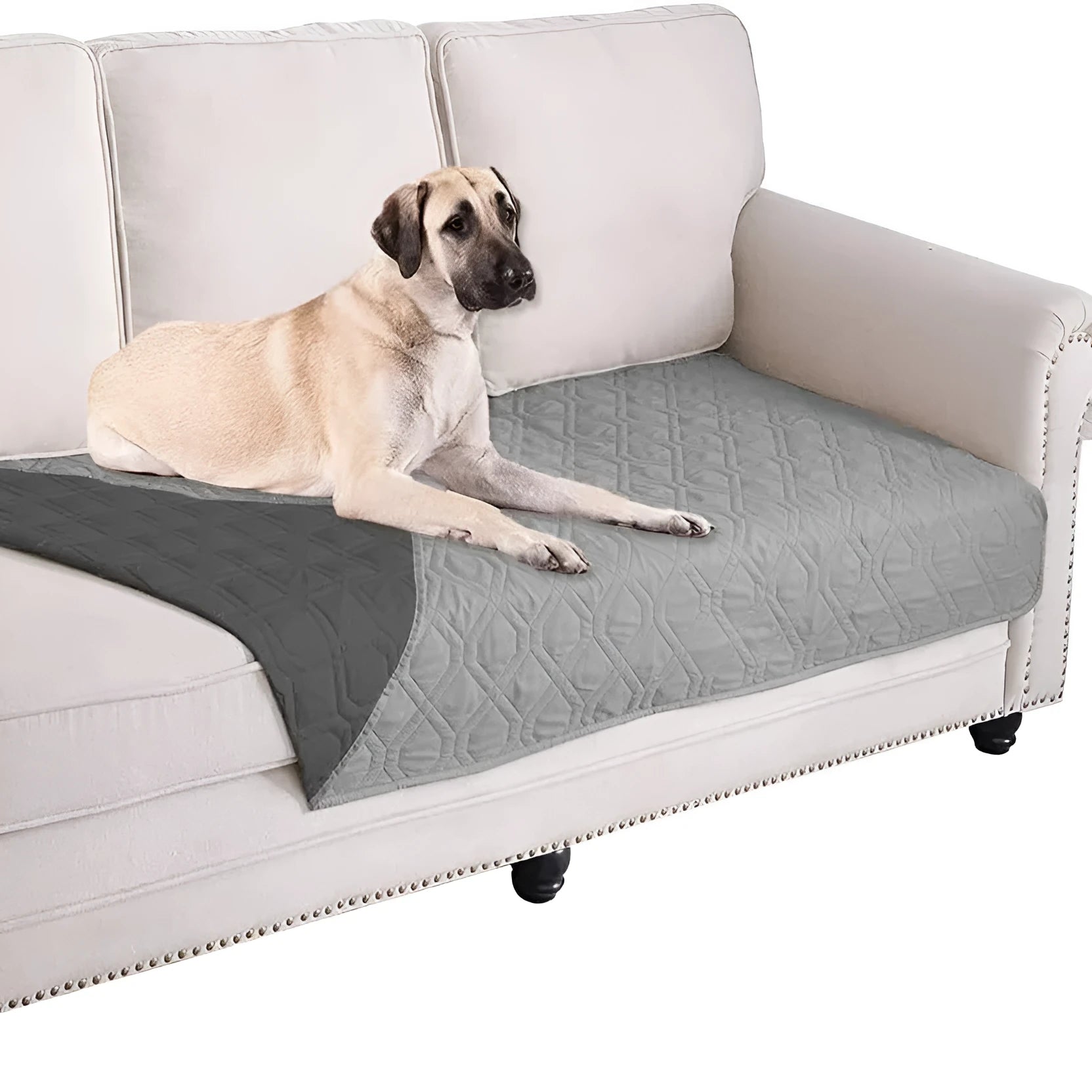 Reversible waterproof dog blanket laid on a sofa, showing two colour options.