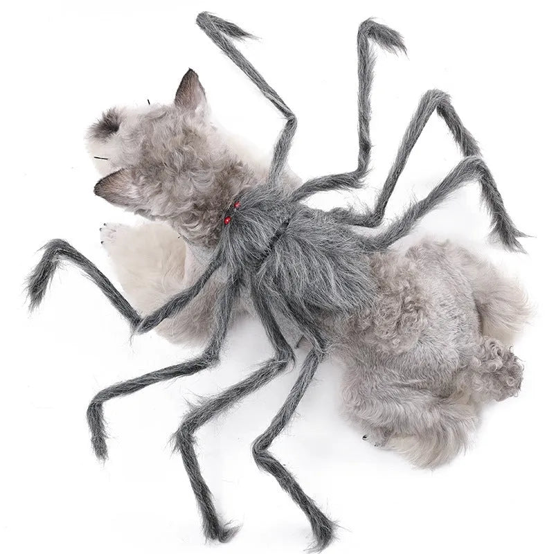 Grey polyester pet costume with a large black spider design for Halloween, shown on a dog.