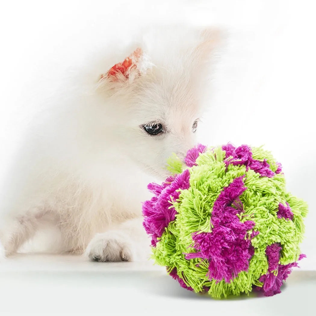Purple plush dog toy ball with textured sea urchin design measuring 15cm diameter