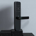 Alloy wooden door fingerprint lock in black with Graffiti WiFi connectivity for keyless entry