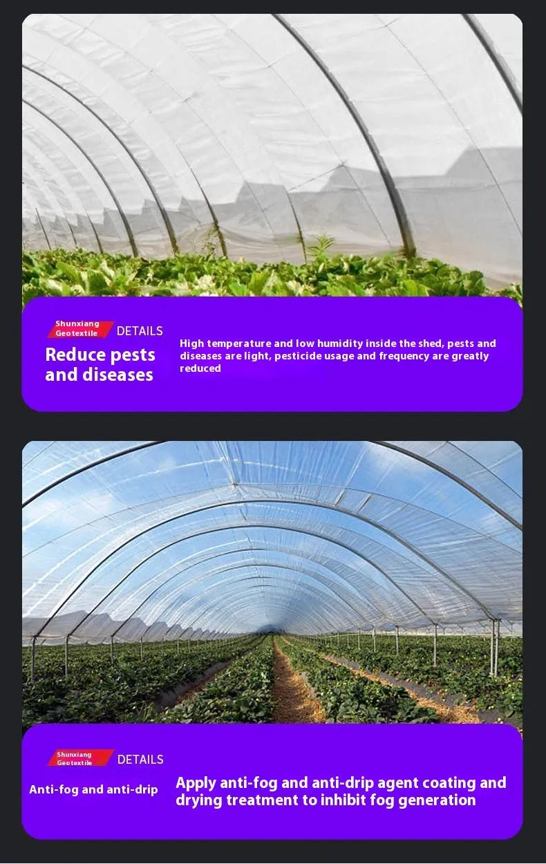Plastic cold-proof film for vegetable greenhouse insulation in 4x8 metre size