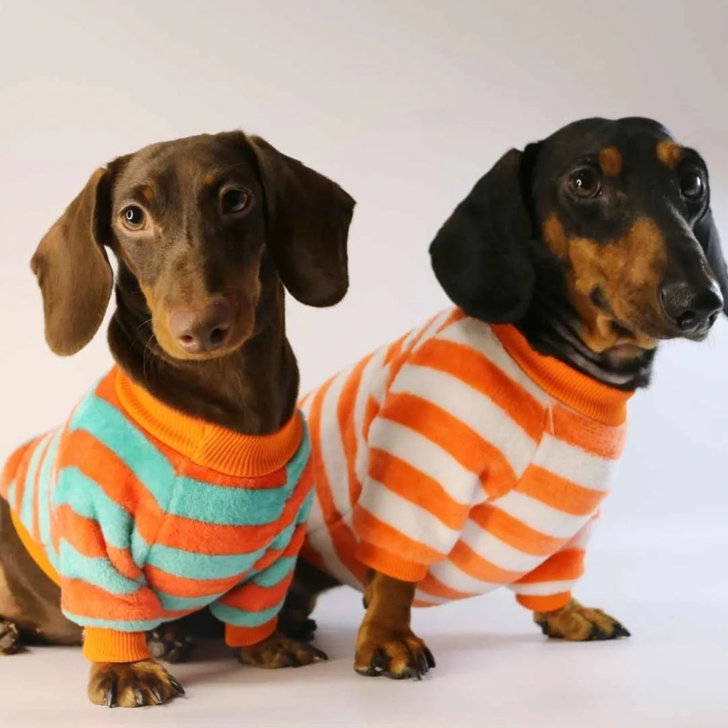 Striped round neck pet sweatshirt for dogs and cats in casual style
