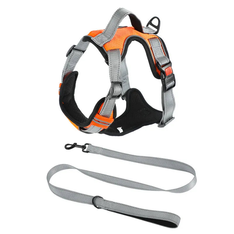 Adjustable polyester dog harness in multiple colours with chest strap and optional hand-holding rope