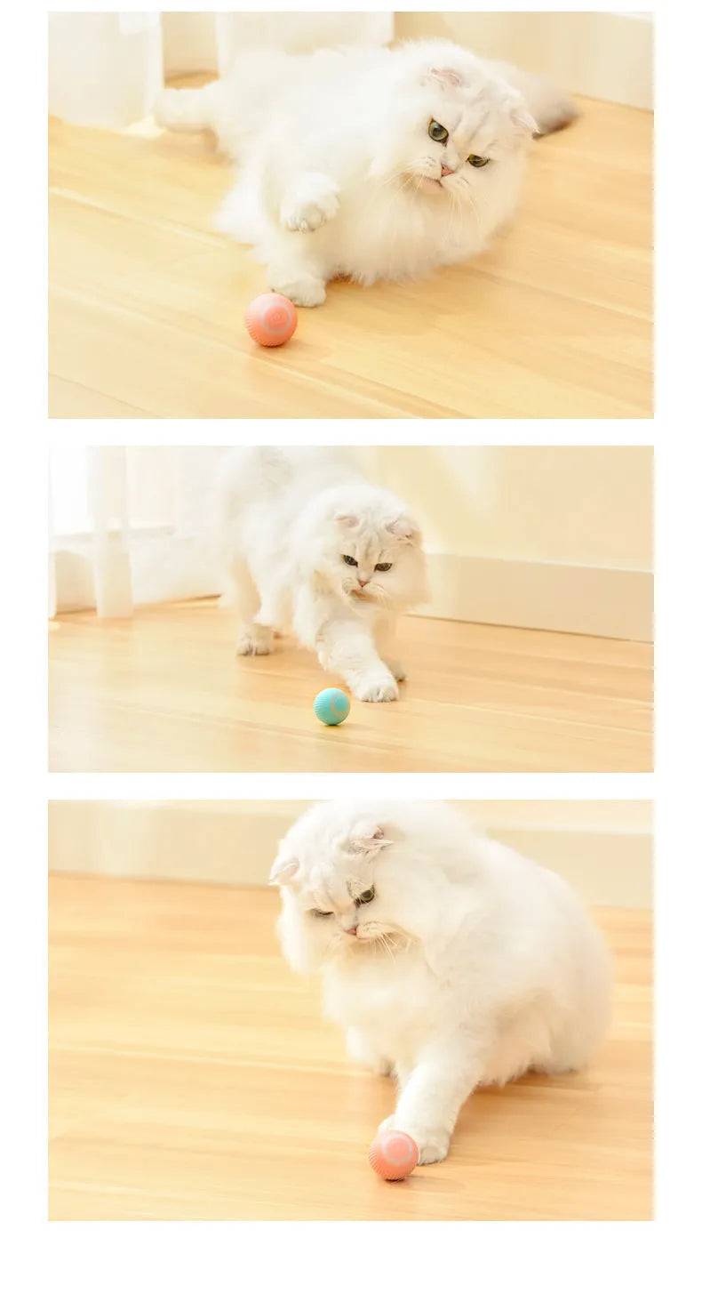 Cat Gravity Intelligent Rolling Ball 43mm automatic pet toy with bionic motion and obstacle avoidance on hard floor
