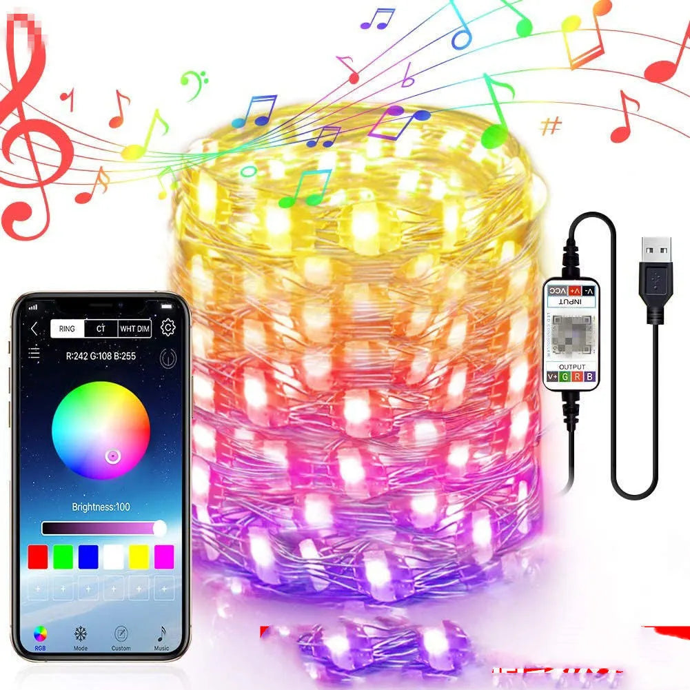 Warm white LED copper wire light string on USB plug with remote control