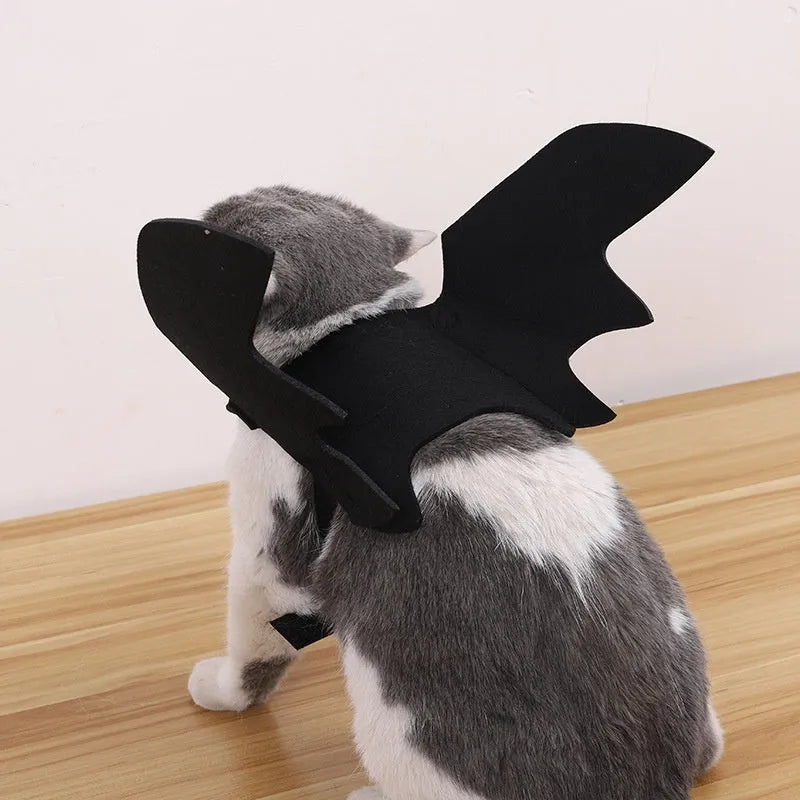 Black wings Halloween felt costume for a dog or cat, shown with a bell accessory.