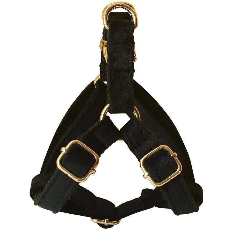 Black flannel dog harness with gold buckle on a light background, showing chest strap and leash