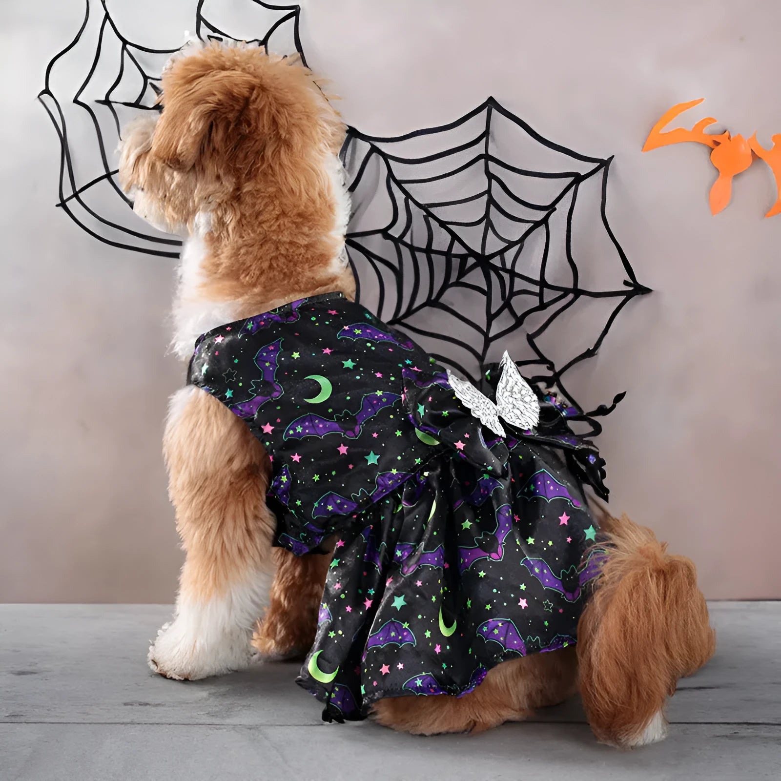 Dog wearing an orange angel wings Halloween costume with a bright pumpkin design.