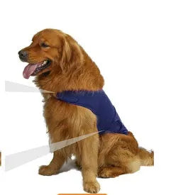 Dog wearing anxiety relief tank top in brocade cotton Ponte-de-Roma fabric