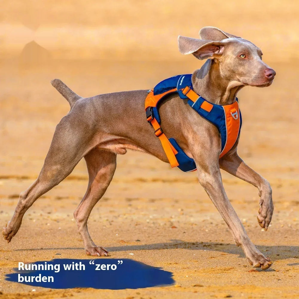 Nylon dog chest strap vest in orange-blue colour with adjustable sizing for different breeds