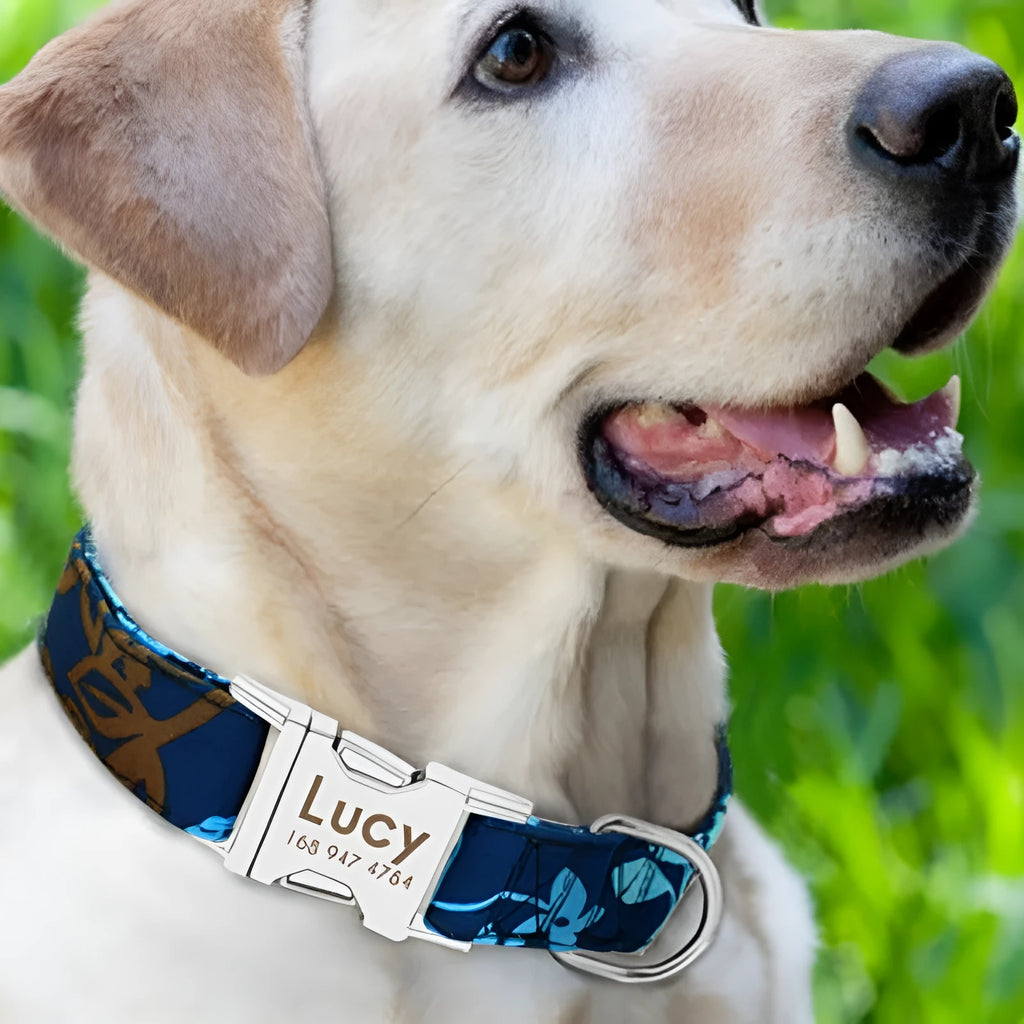 Adjustable dog collar shown in black, green, or rose red, available in S, M, and L sizes.