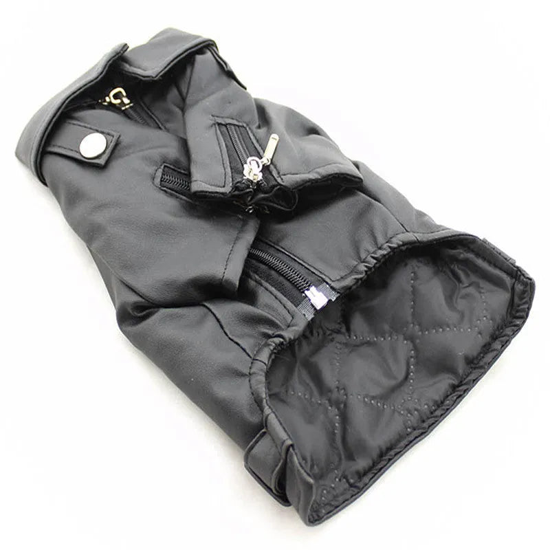 Small dog wearing a chocolate black faux leather jacket with embroidered eagle sticker on back