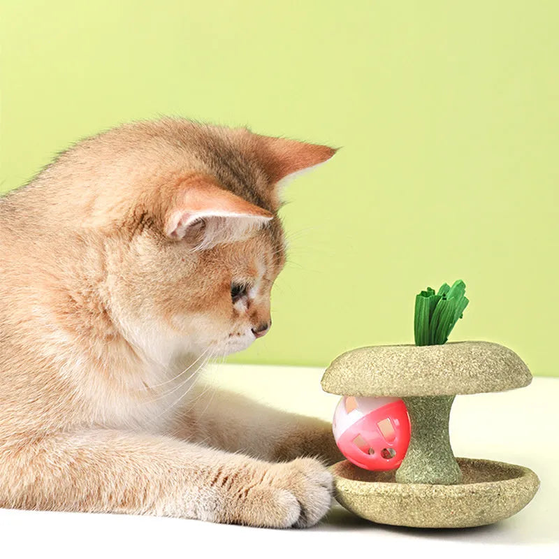 Green edible catnip toy with bell for cat teeth cleaning and chasing game