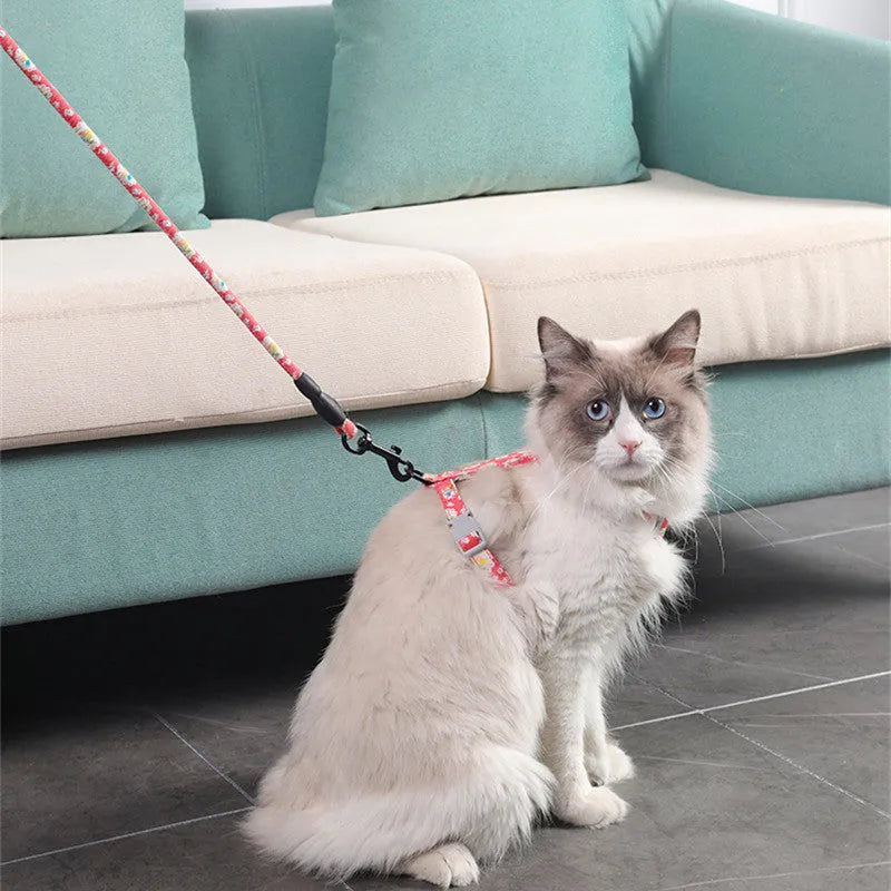 Cat I-shaped chest harness in blue with metal accessories and 150cm rope lead on white background