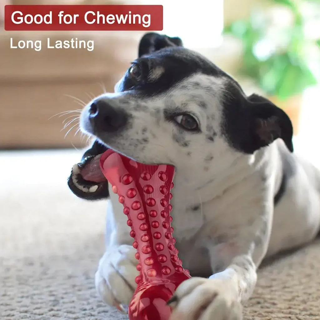 Red natural rubber dog chew toy with raised nodules for aggressive chewers