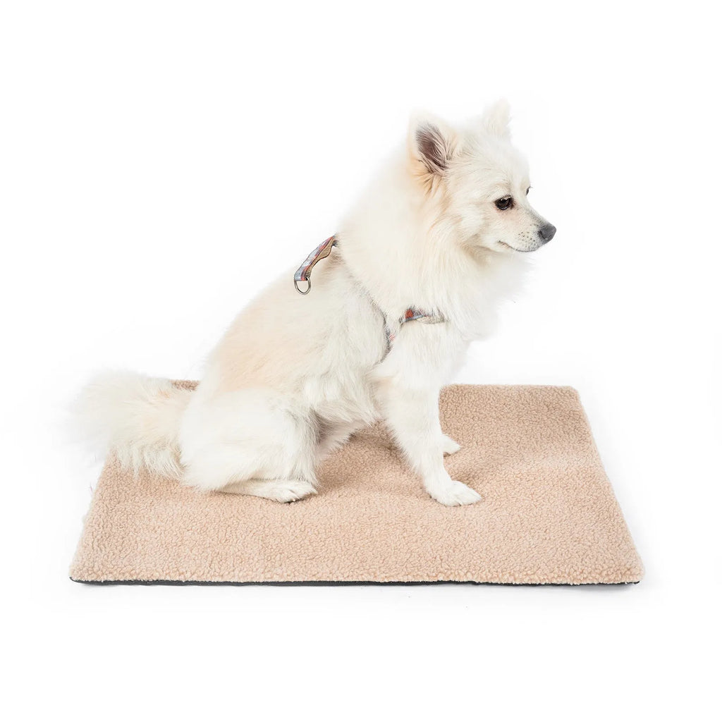 Grey plush self-heating pet pad for cats and dogs on indoor floor