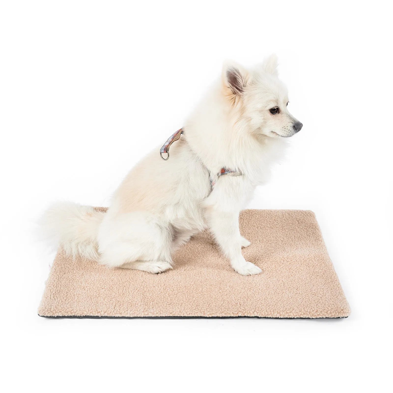 Grey plush self-heating pet pad for cats and dogs on indoor floor