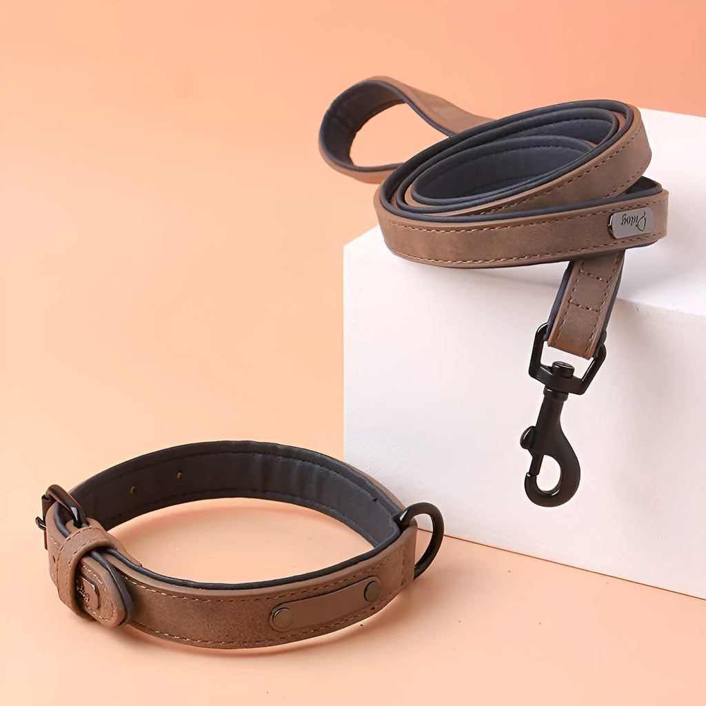 Adjustable dog collar with buckle fastening in purple colour showing double-layer construction