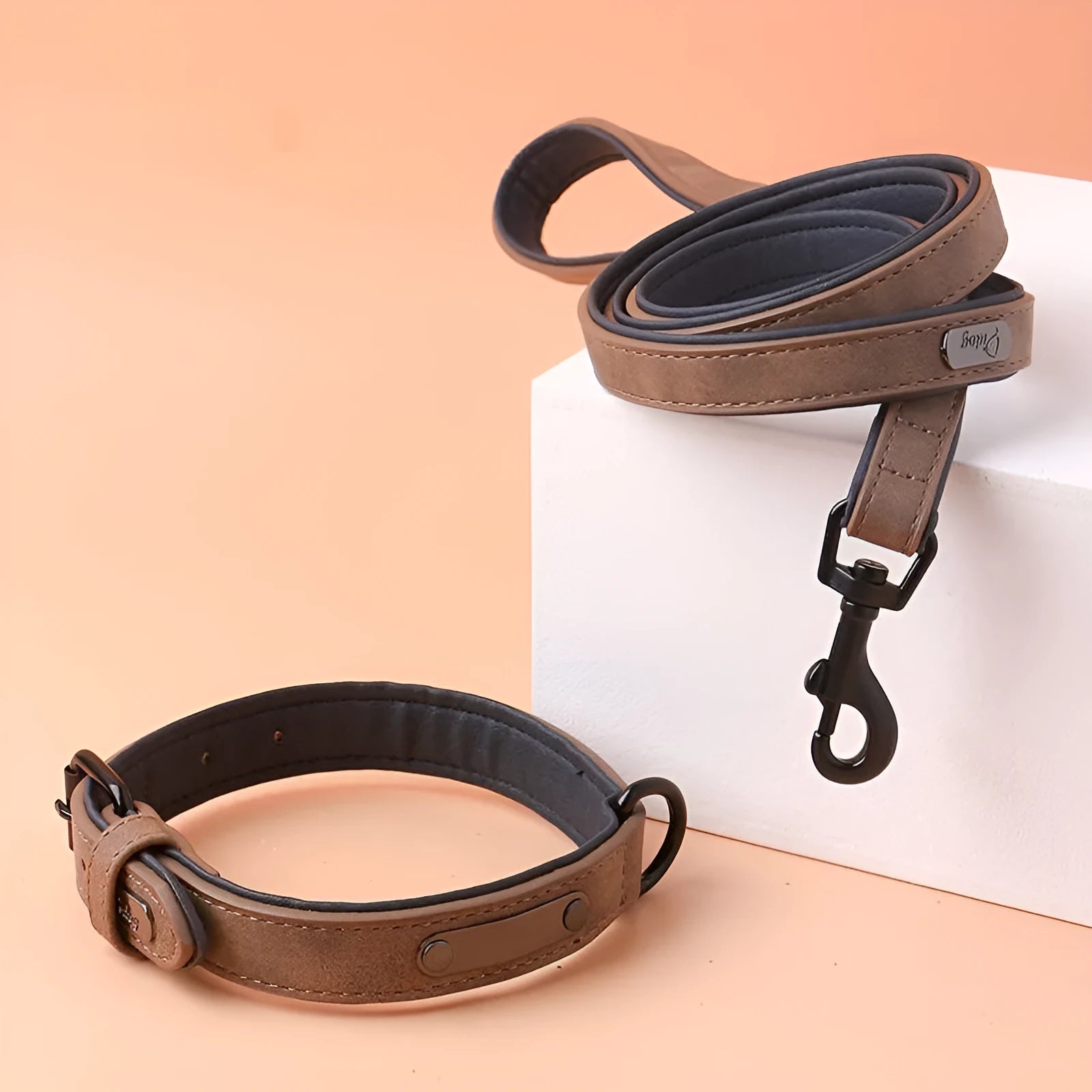 Adjustable dog collar with buckle fastening in purple colour showing double-layer construction
