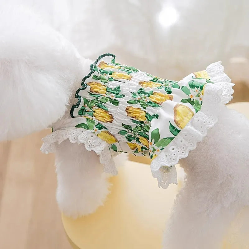Rock yellow lemon thin breathable polyester strap skirt for small dogs princess style