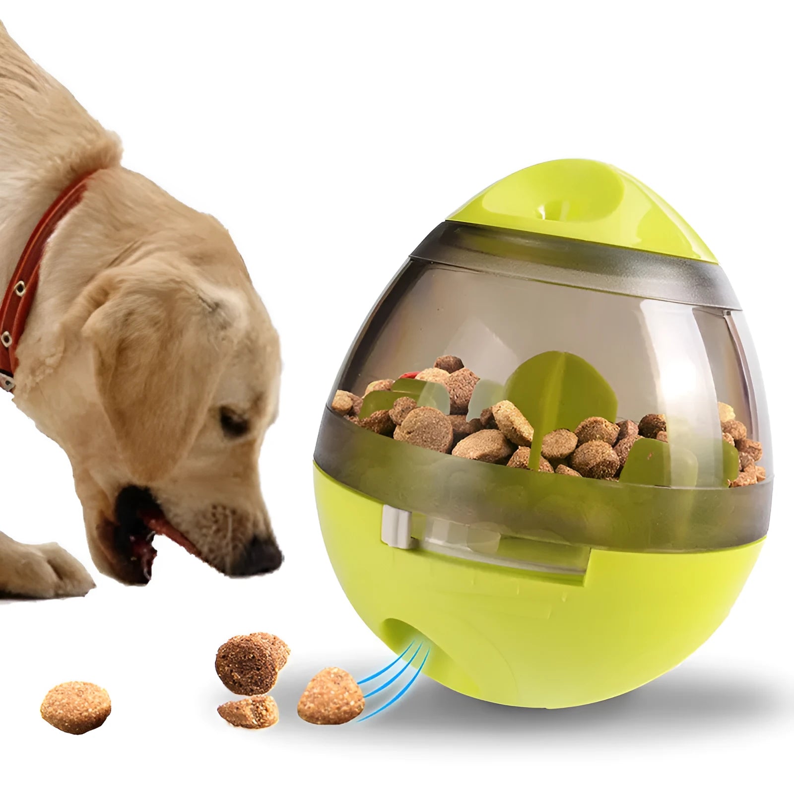 Pet food feeder dispenser funny toy green treat ball on carpet with dog