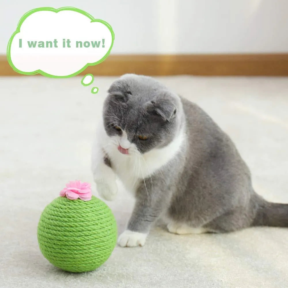 Green interactive cat scratcher ball with natural sisal cactus design and hanging accessories for indoor feline play
