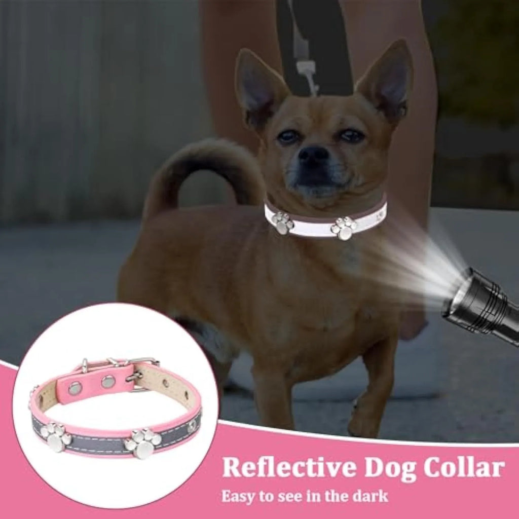 Reflective adjustable leather dog collar with cute paw rivet on a grey background