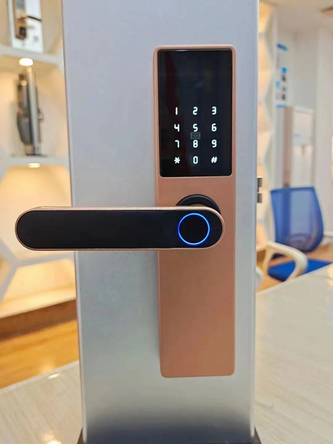 Alloy wooden door fingerprint lock in black with Graffiti WiFi connectivity for keyless entry