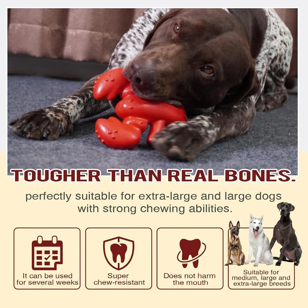 Red Nylabone hard dog chew toy for large aggressive chewers on a white background