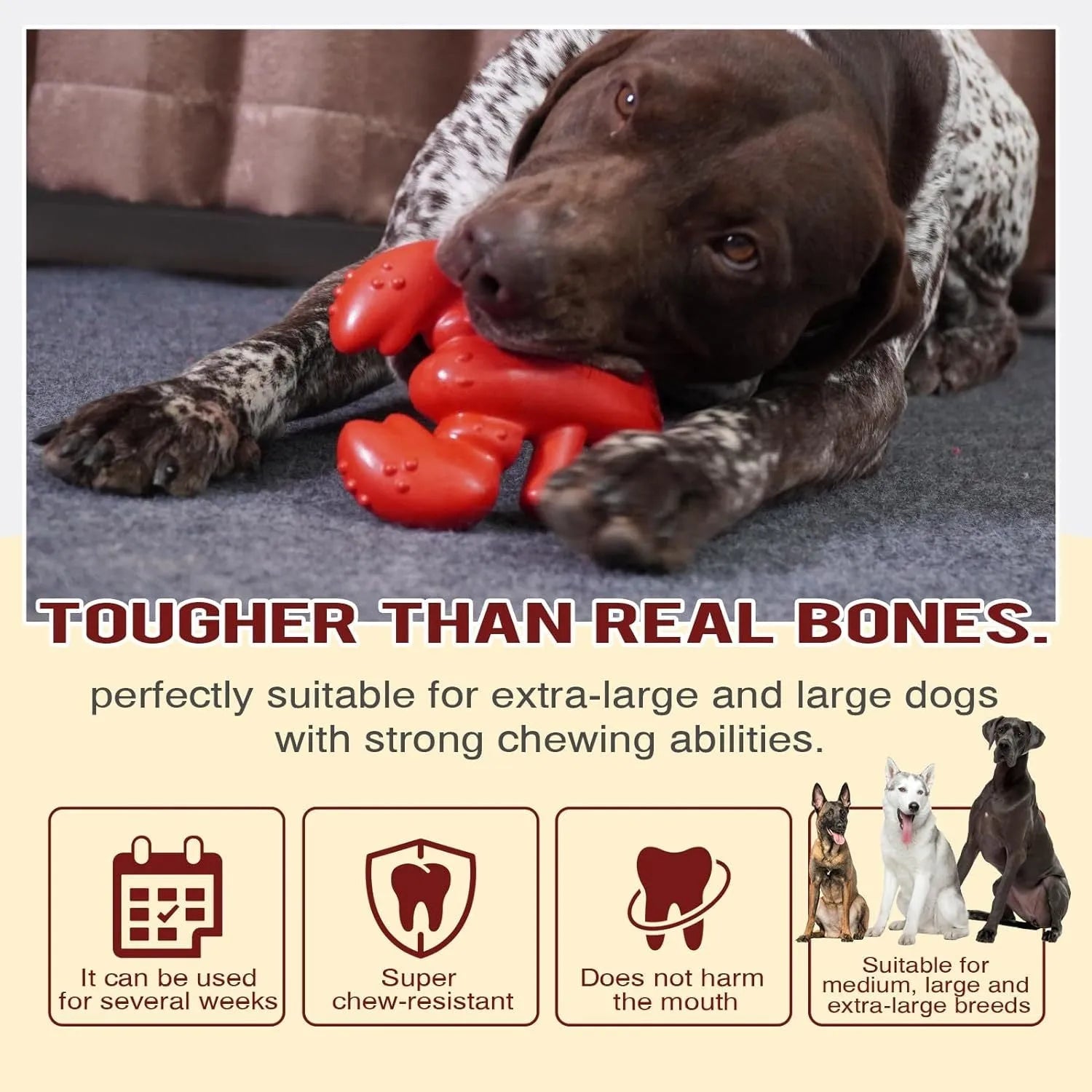 Red Nylabone hard dog chew toy for large aggressive chewers on a white background