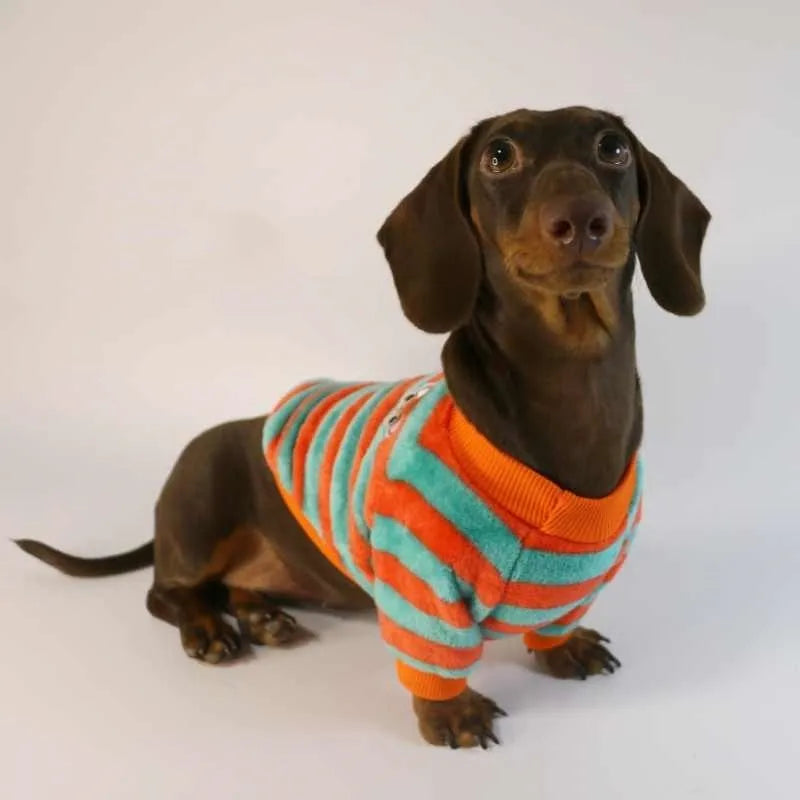 Striped round neck pet sweatshirt for dogs and cats in casual style