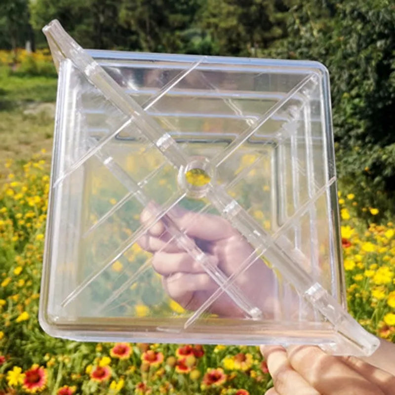Square plastic watermelon growth mould measuring 13x13x13cm for shaping fruits on farms