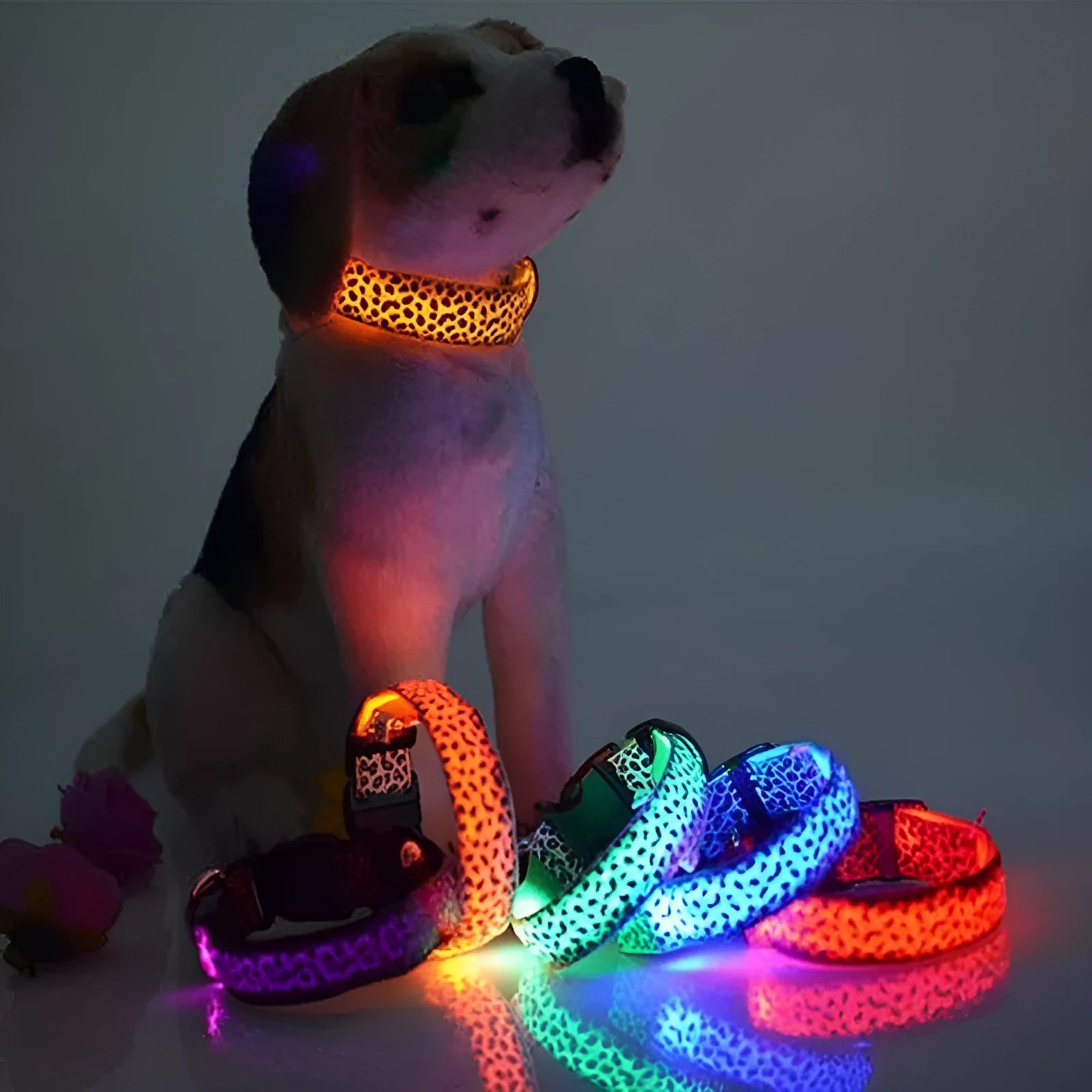 LED dog collar with leopard print nylon strap and four light modes, adjustable for small to large dogs