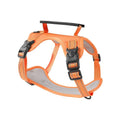 Polyester dog chest harness and lead in assorted colours on a white background.