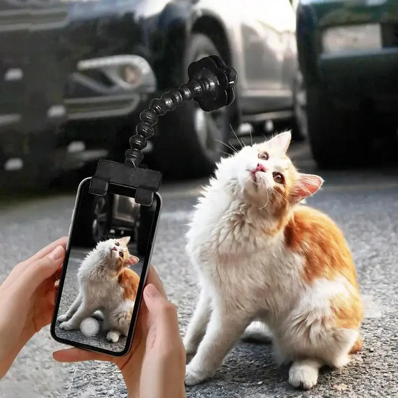 Pet photography tool clip for phone holding a treat to attract cat or dog attention, black plastic