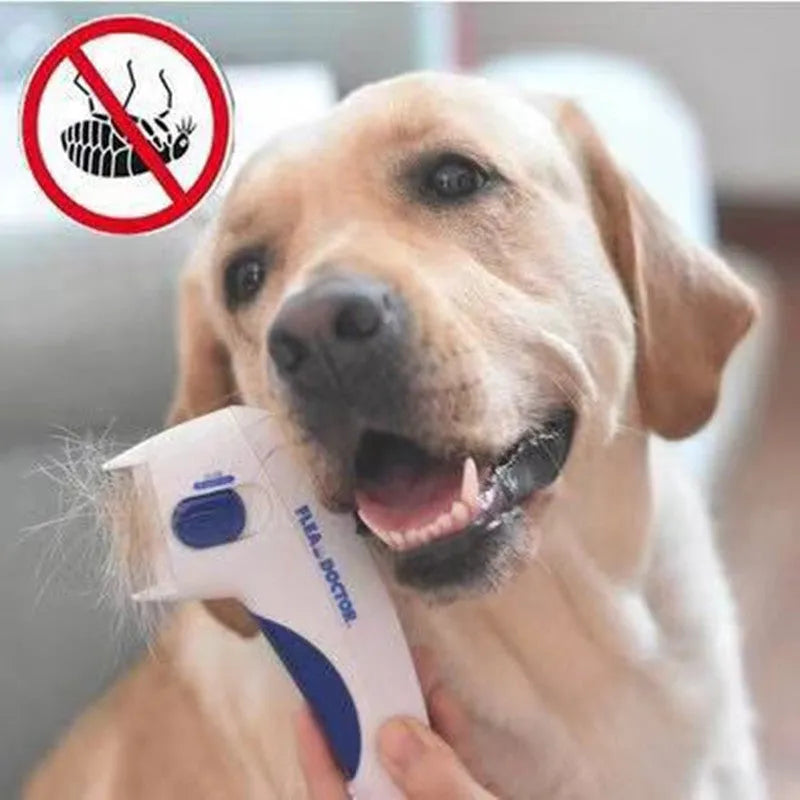 White electric pet lice remover comb with replaceable battery and cutter head, 17.5x9cm