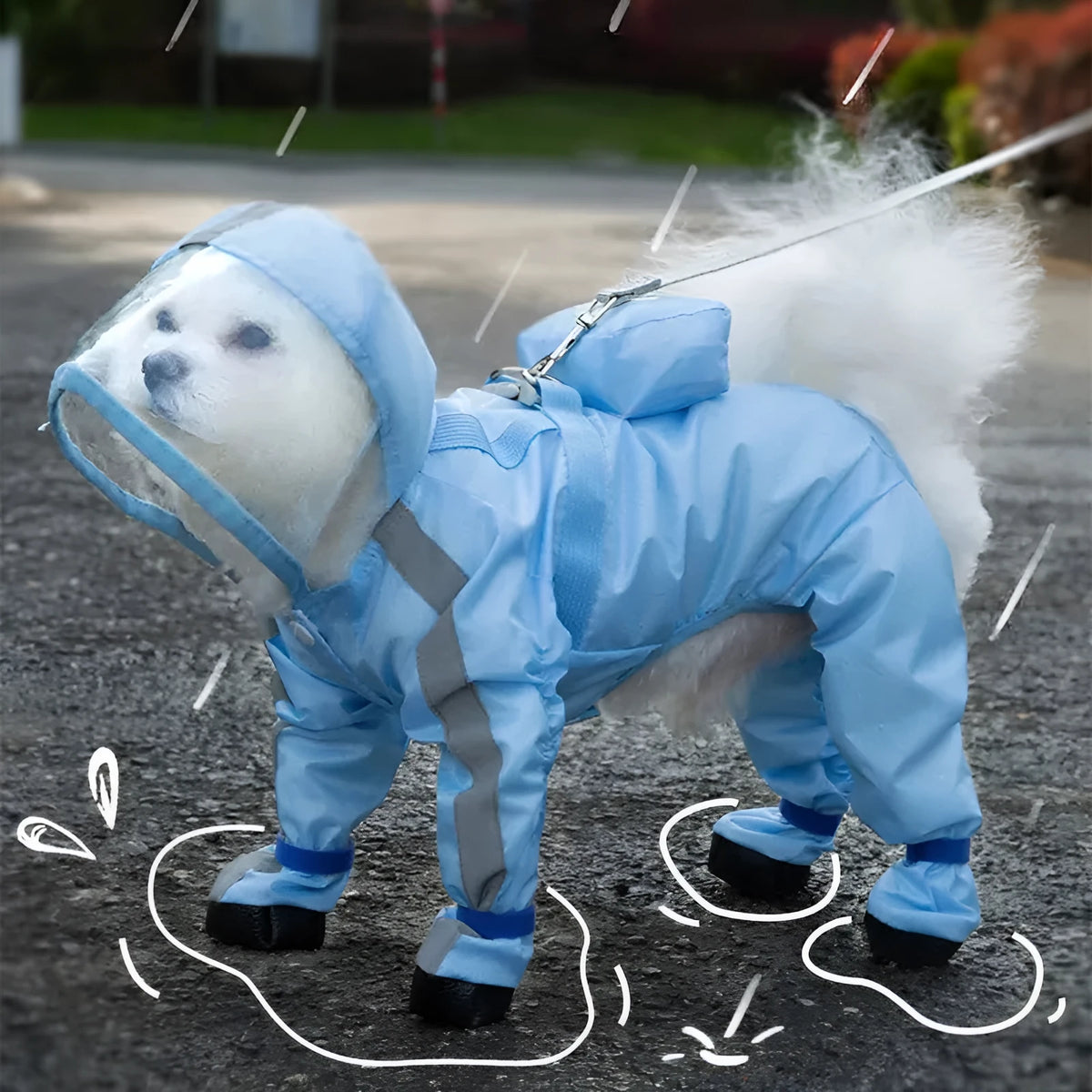 Blue pet dog raincoat with full body and four leg coverage on a small dog